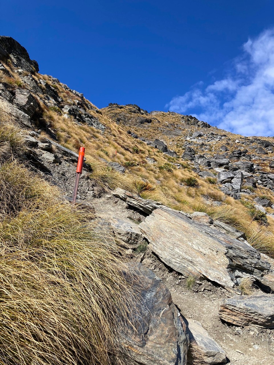 Neuseeland - Queenstown - 