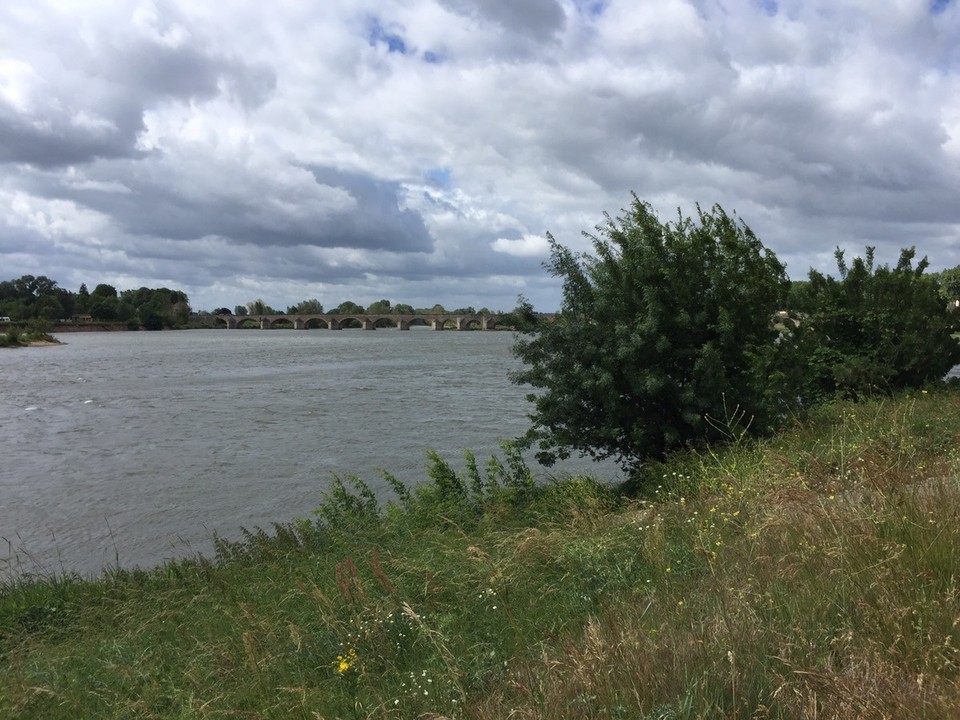Frankreich - Meung-sur-Loire - Endlich. Die Loire. Auf einmal ist unser Sehnsuchtsort vor uns aufgetaucht 👻