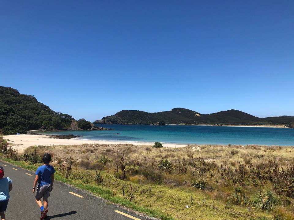 Neuseeland - Karikari Peninsula - 