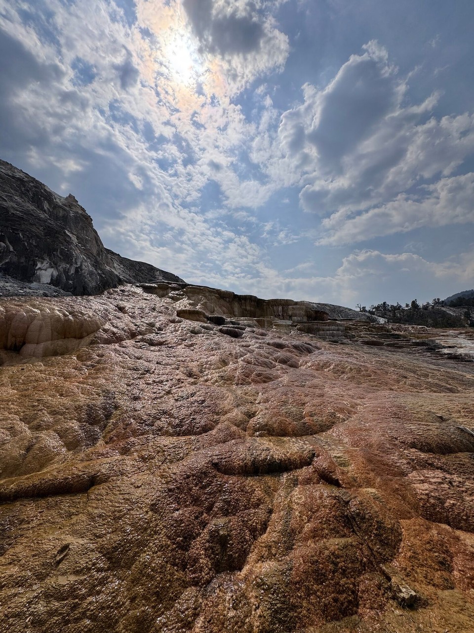 Vereinigte Staaten - Yellowstone National Park - Mammoth hot Spring: Das sind wieder heissi Quelle. Sie sind zimlich ustrocknet gsi. Ich persönlich ha sie ned so spektakulär gfunde.🙈