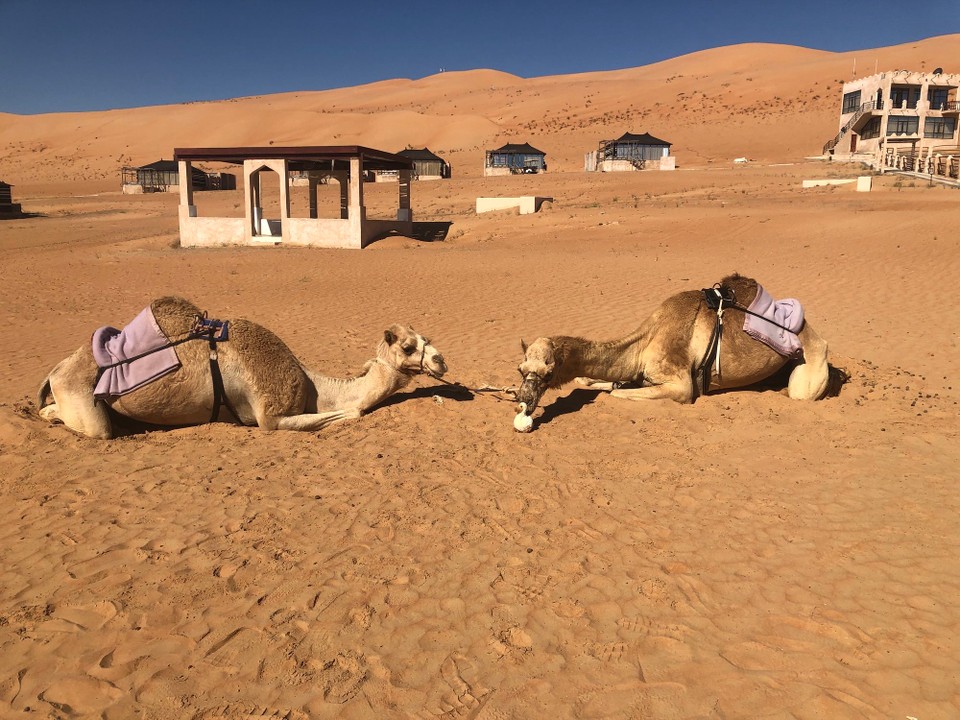 Oman -  - Mit wem knutscht Doretta da?