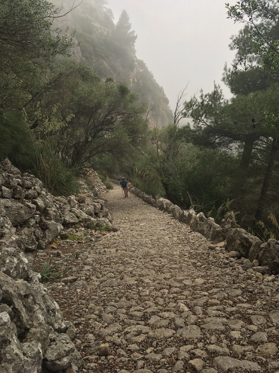 Spanien - Sóller - 