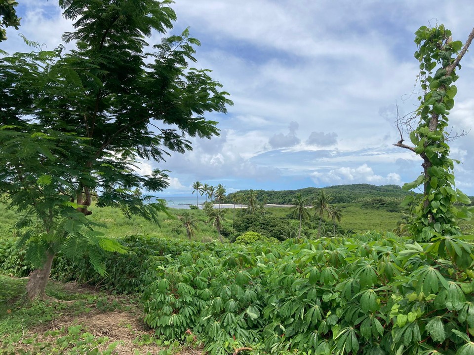  -  - Am Vormittag ein Spaziergang über die Insel