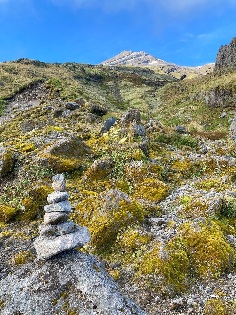 Neuseeland - Egmont National Park - Gipfel in Sicht 🥳
