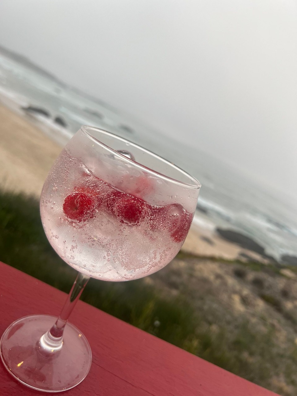 Portugal - Longueira-Almograve - Und zum Schluss noch einen GinTonic- Strawberry. 