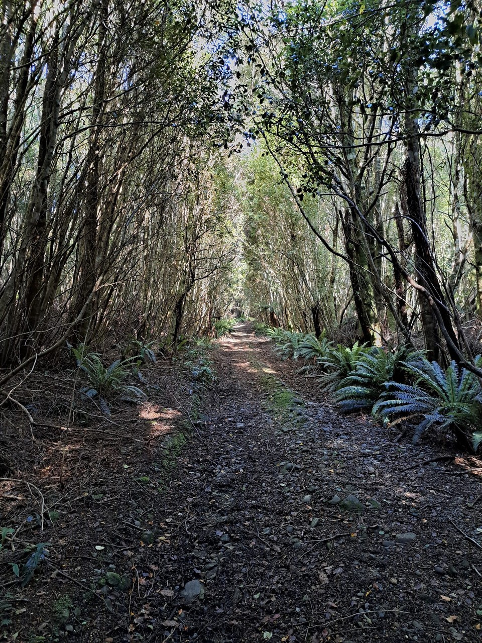 Neuseeland - Colac Bay / Ōraka - 