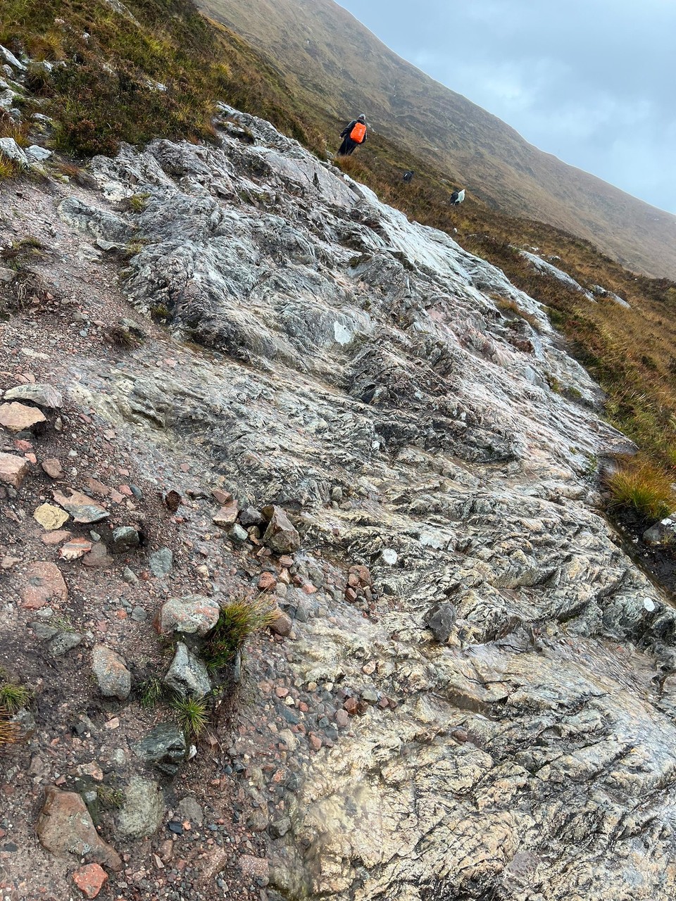 Vereinigtes Königreich - Corrour - 