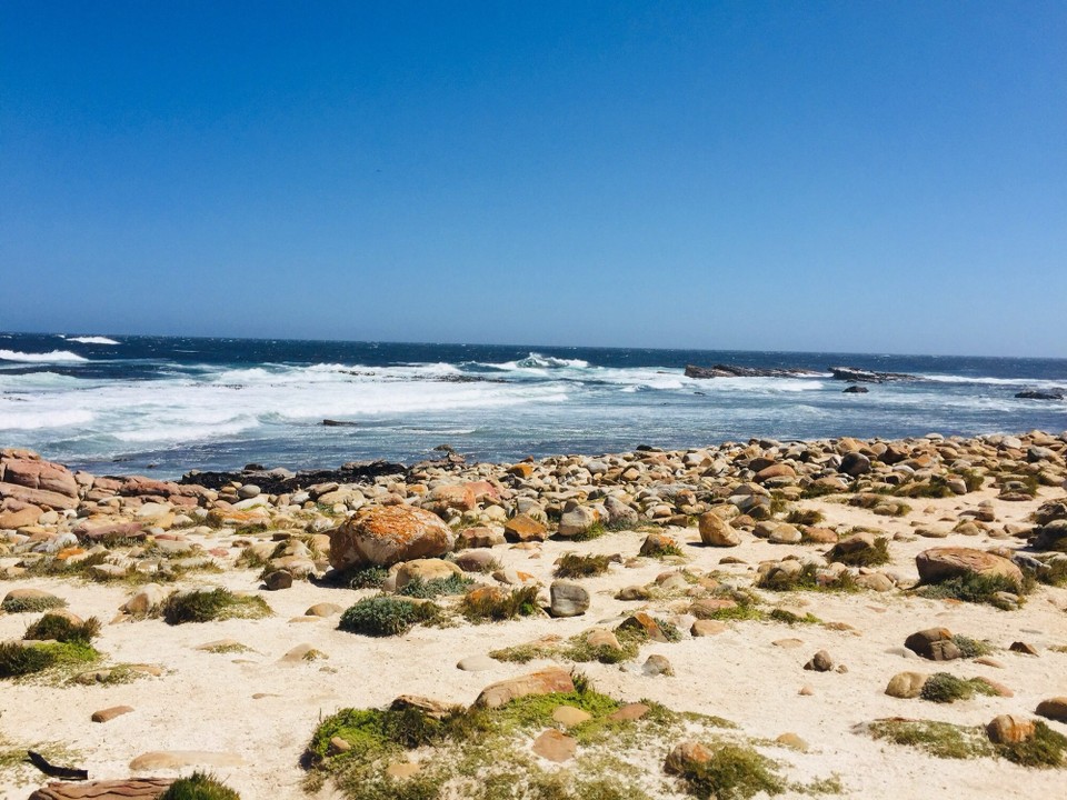 Südafrika - Cape Point - 