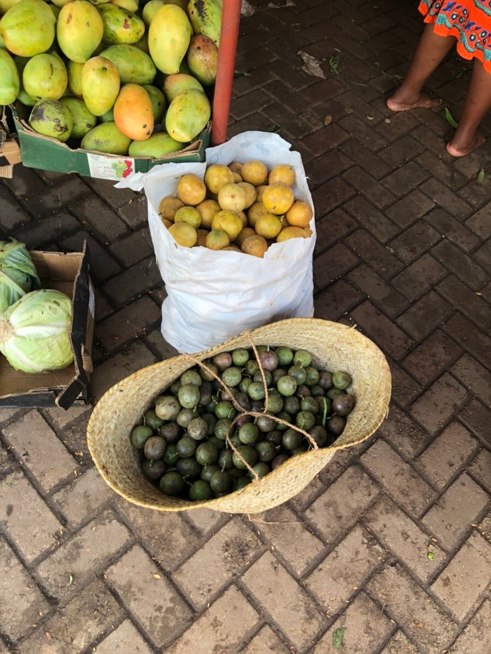 Kenia - Mombasa - 