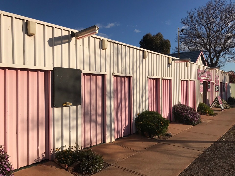  - Australia, Boulder, Kalgoorlie - Hello ladies ! All The doors are called the starting stalls.. where he can pick his fave gal !