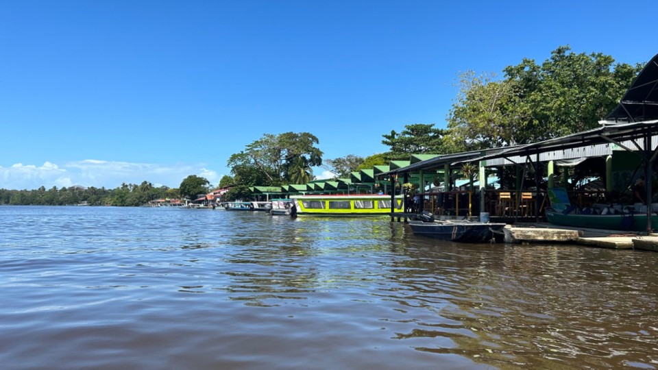 Costa Rica - Nationalpark Tortuguero - 