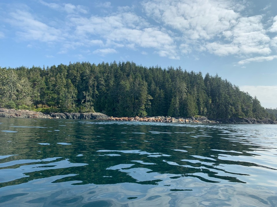 Kanada - Mount Waddington A - 