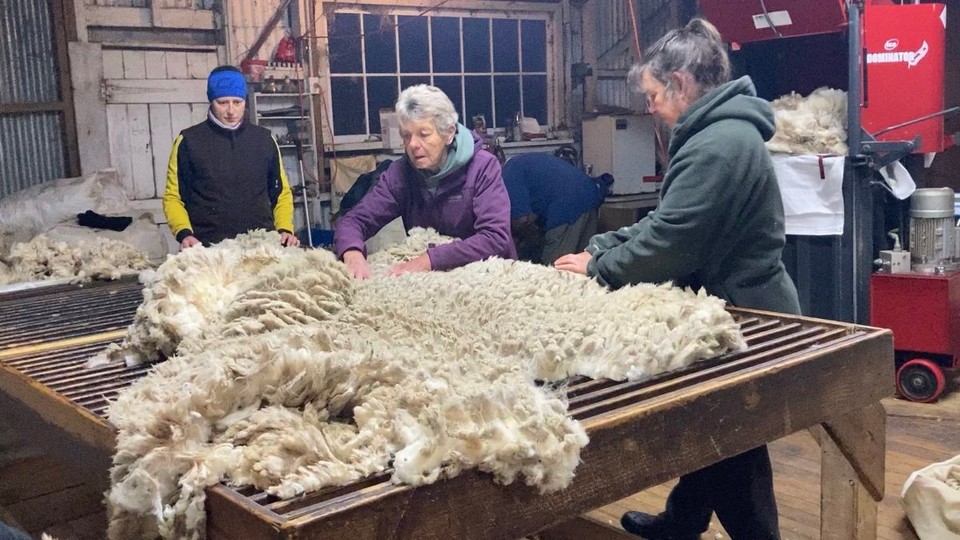 Neuseeland - Ward - Wolle wird am Tisch sortiert, zackige Hände sind gefragt - erstmal zuschauen und lernen 🤓 bevor auch ich Hand anlege.

Im Hintergrund auf der rechten Seite steht die Wollpresse, bereit die Wolle in Ballen zu verpressen.