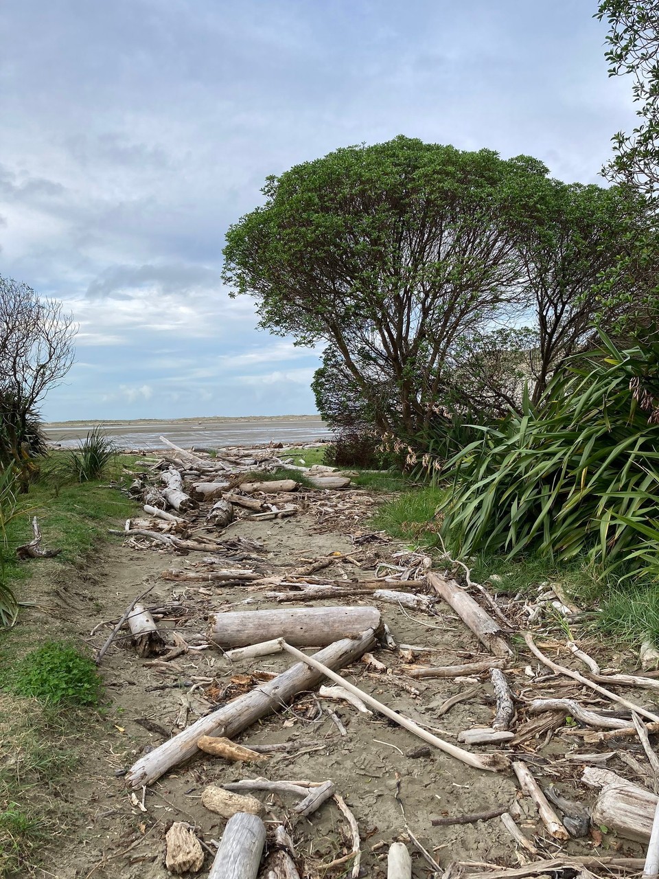 Neuseeland - Manutuke - 