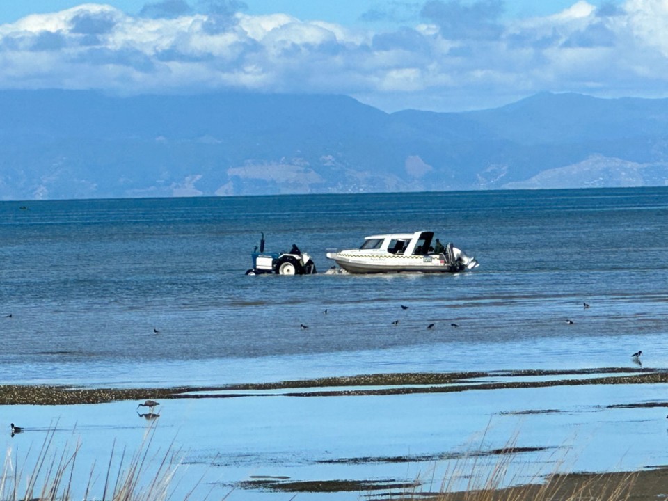 Neuseeland - Abel Tasman National Park - Wir starteten aber mit dem Wassertaxi morgens um 9:00 zur Bark Bay, um dann von dort aus zurück zu wandern.