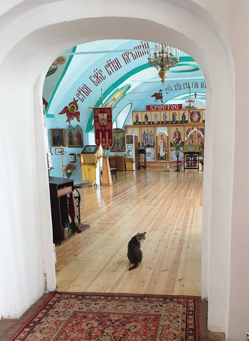 Russia - Tobolsk - A very friendly church cat, the ladies who mind the church didn't seem to mind him