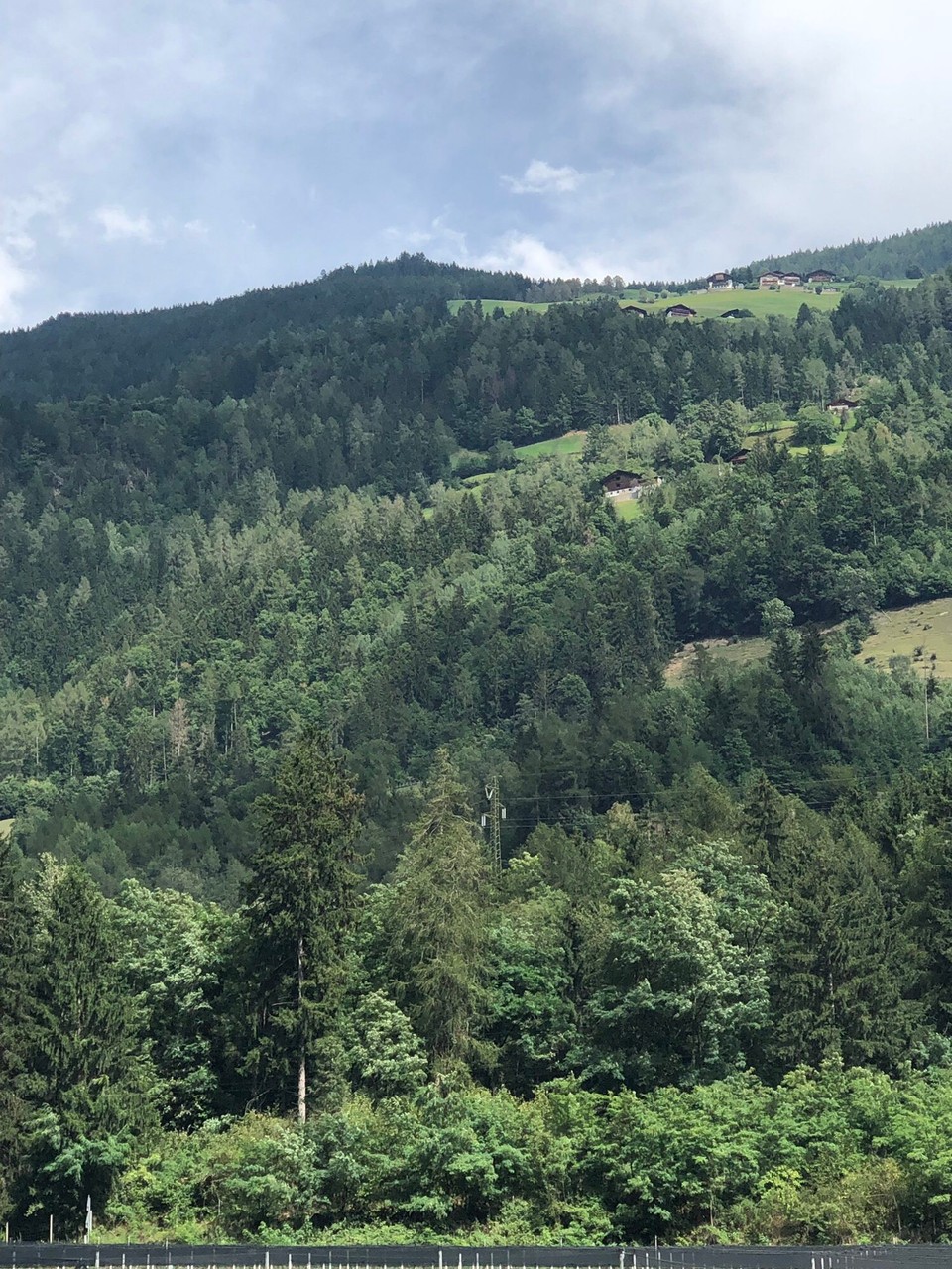 Italien - Schenna - Wir kommen von der letzten grünen Wiese, vor der letzten Häuserreihe ganz oben😃