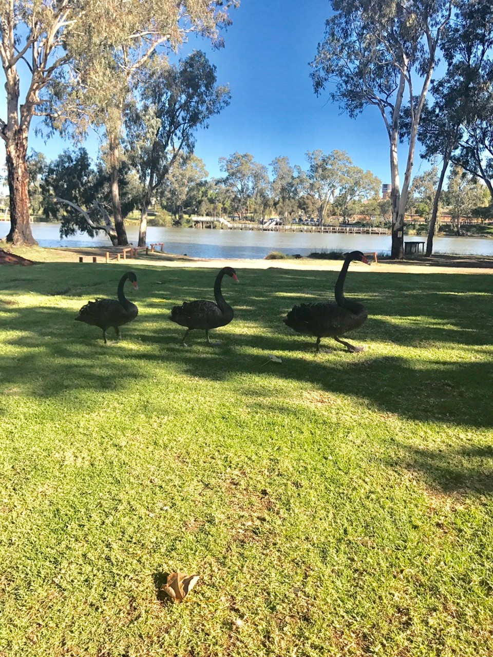 Australia - Mildura - 