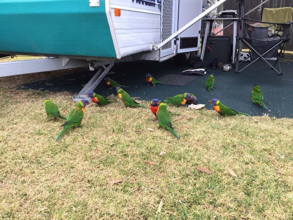  - Australia, Narooma, BIG4 Narooma Easts Holiday Park - 