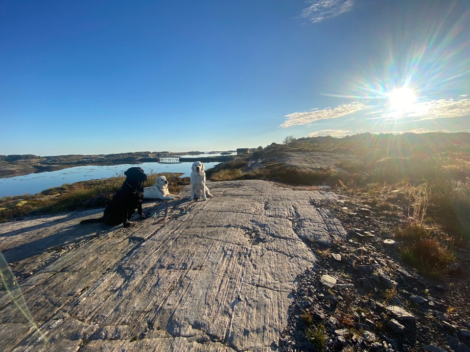 Norwegen - Gurskøy - Nach dem morgendlichen Abschiednehmen von diesem wieder mal soooo schönen Ort starten wir wieder gegen 10:00 Uhr. 