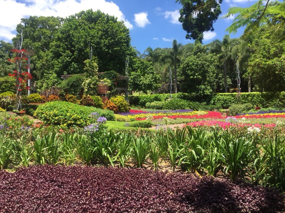 Australien - Brisbane - Parkland