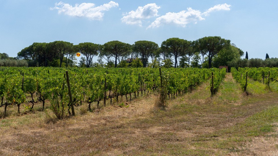 Italien - Lucca - 