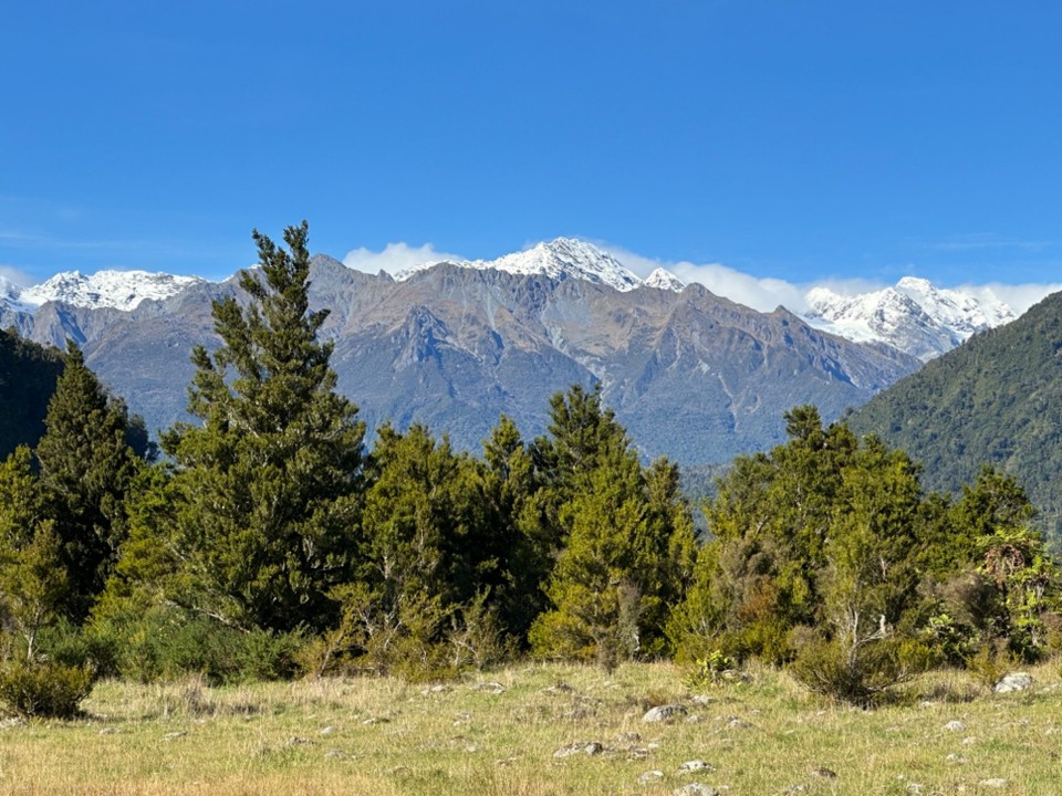 Neuseeland - Greymouth - Kleiner Spaziergang mit Aussicht auf die großen der Alpen 