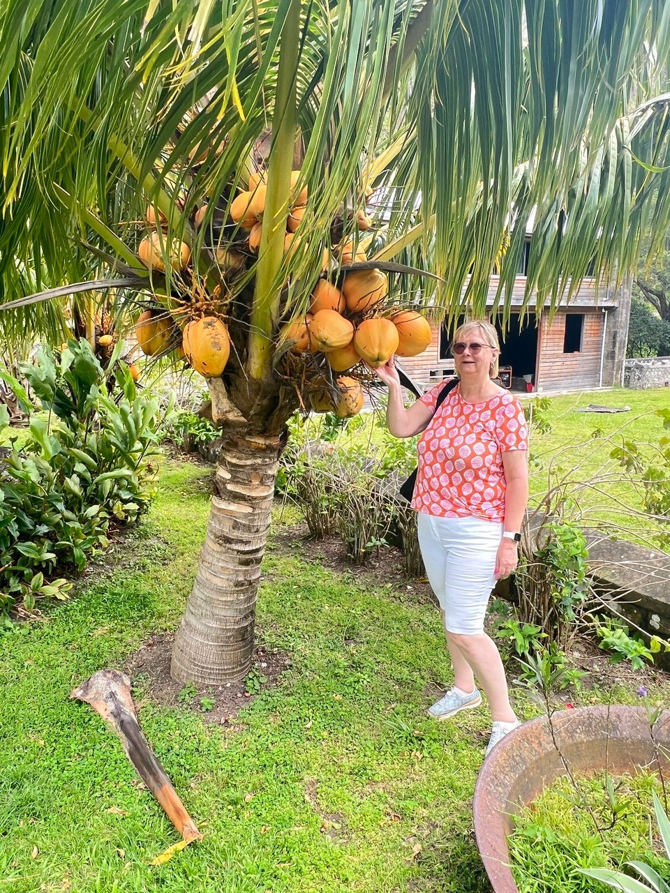 Dominica -  - 