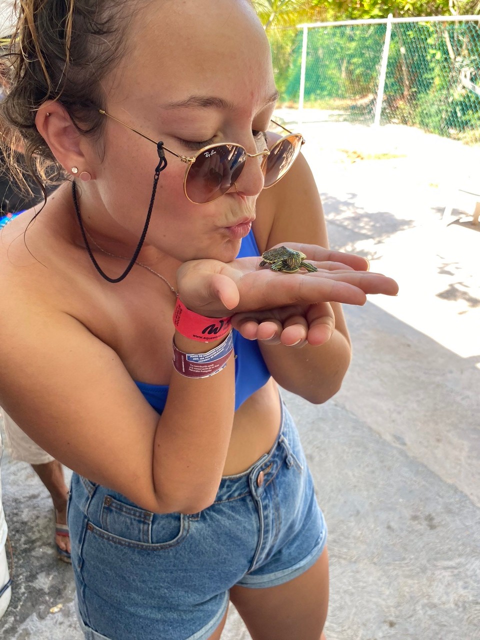 Mexiko - Isla Mujeres - Schildkröten, noch kleiner als die Ersten