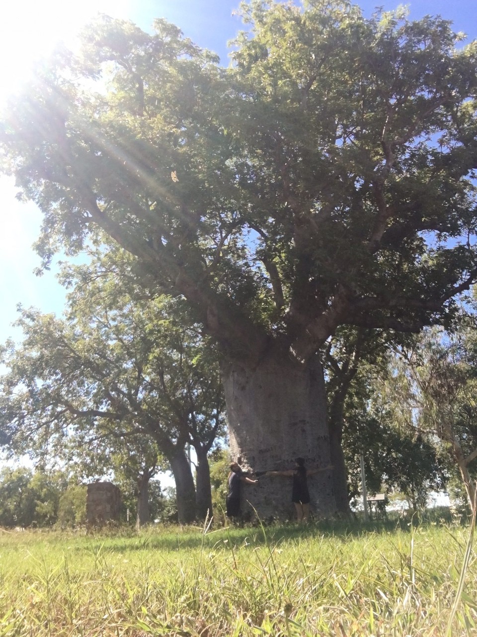 Australien - Litchfield Park - 