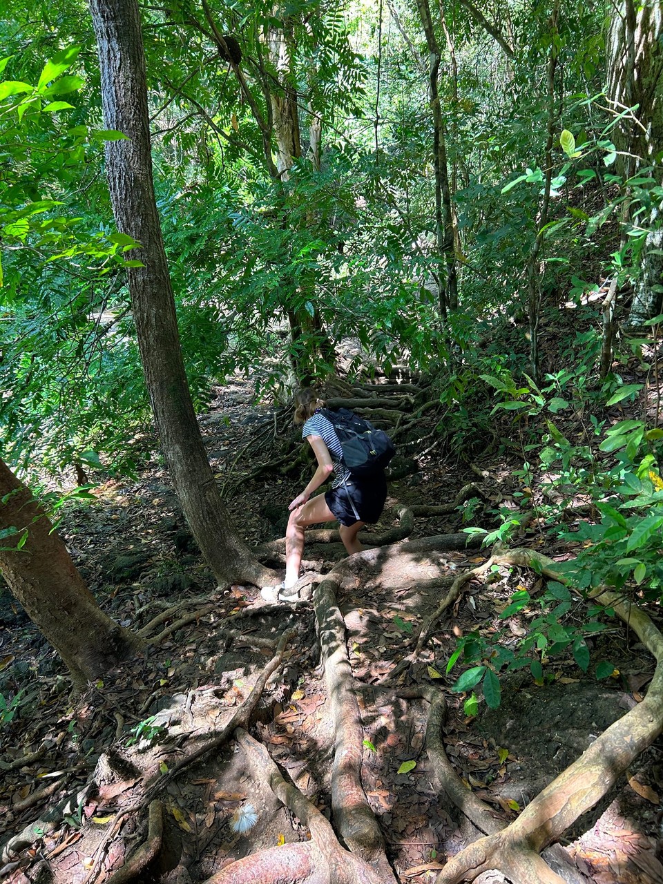 Costa Rica - Santa Fe - 