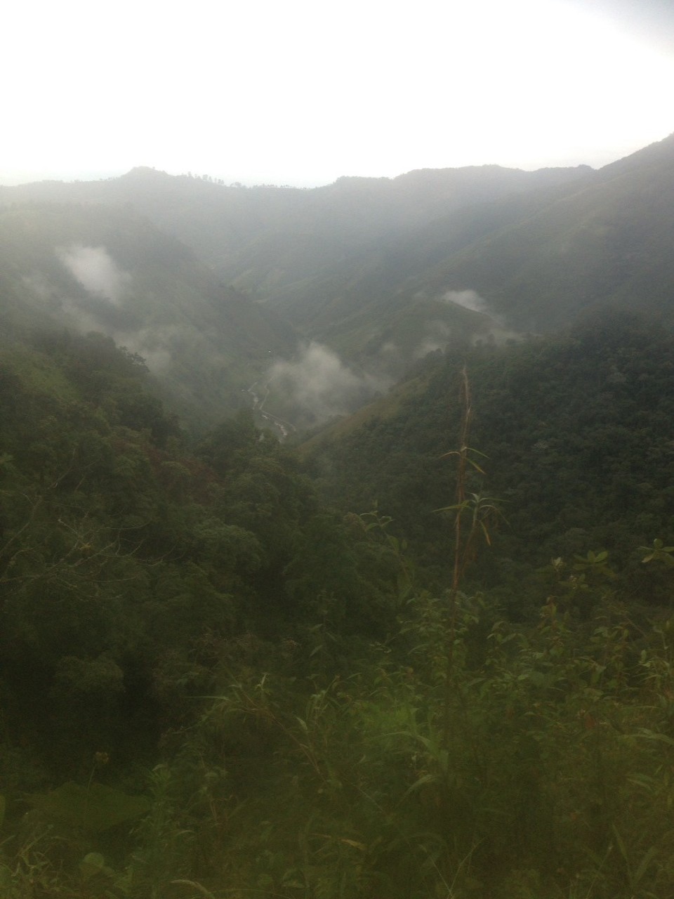 Colombia - Santa Rosa de Cabal - 