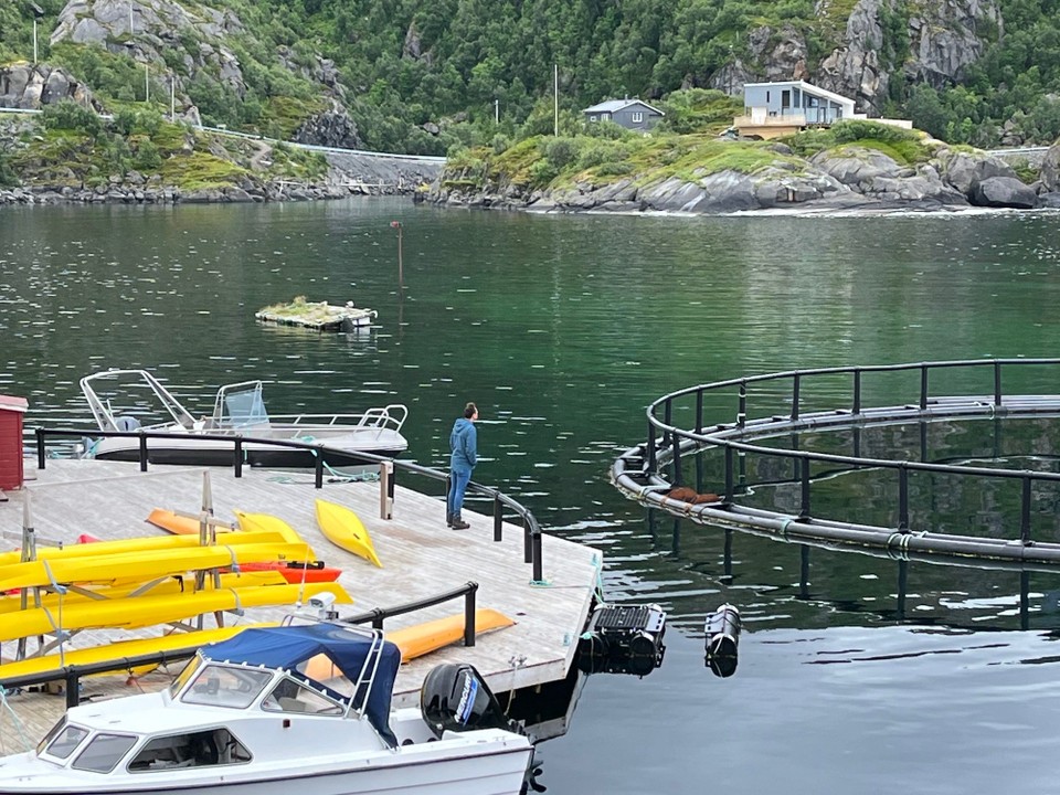 Norwegen - Skaland - Jan der Fischbeobachter 🐟🐠🐡