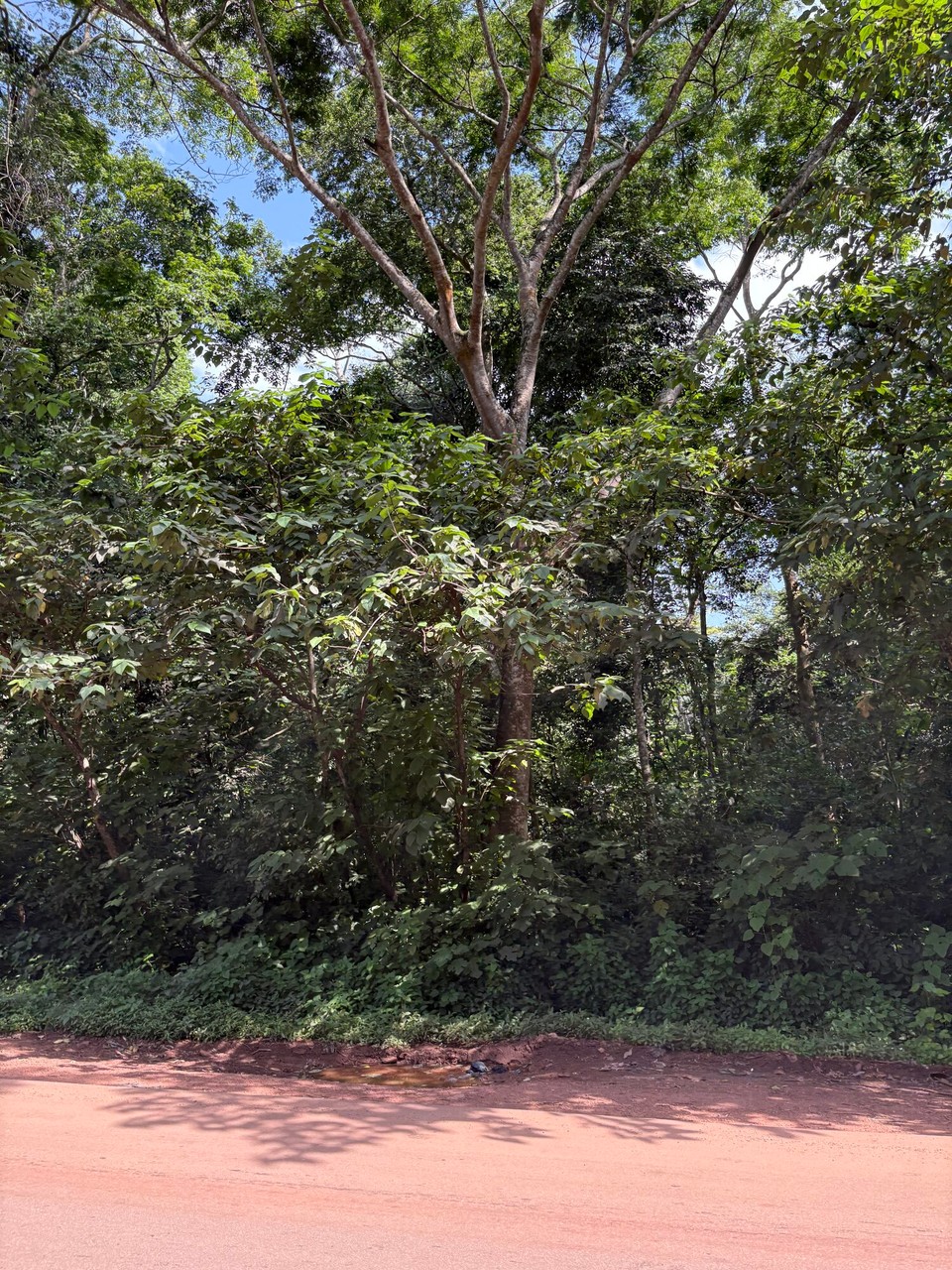 Uganda - Lugazi - 
