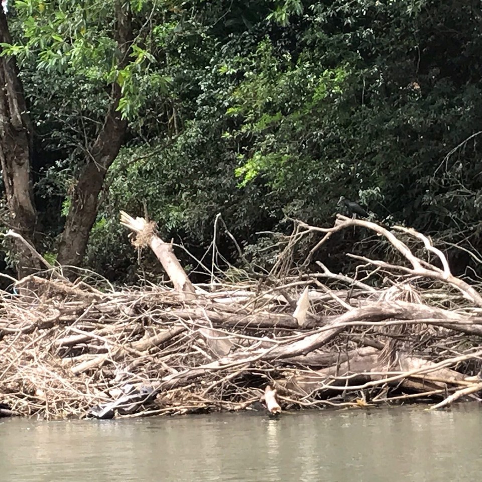 Costa Rica - Paraiso - 