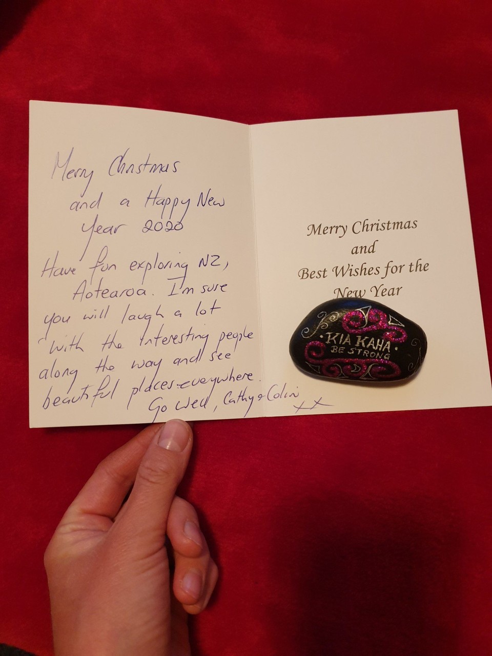 Neuseeland - Kaikoura - Mein Weihnachtsgeschenk von Lynleys Freunden😍