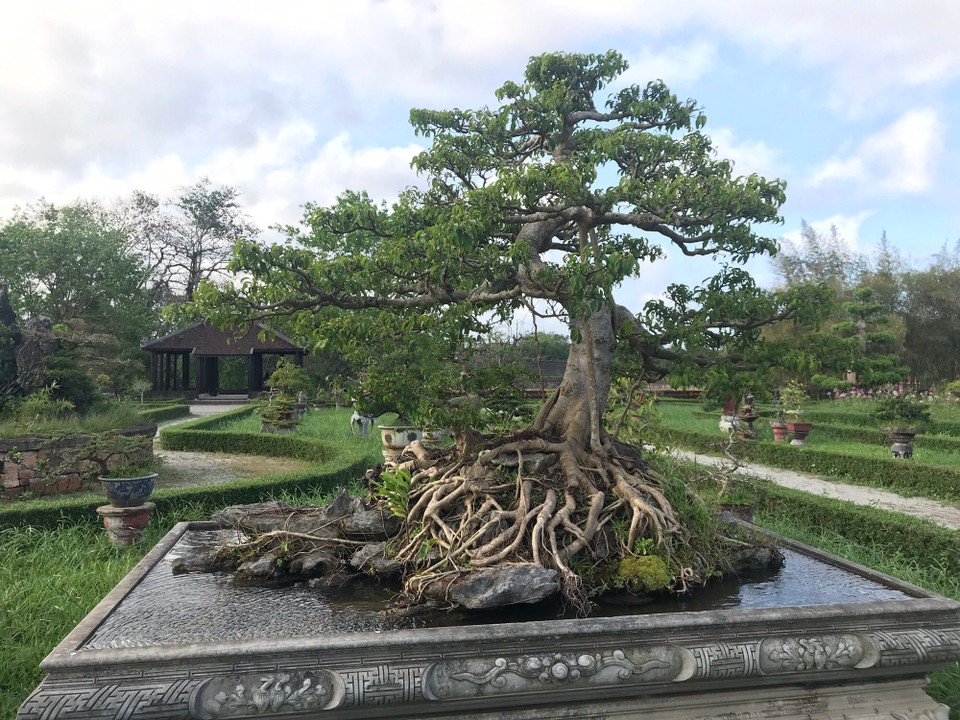 Vietnam - Huế - 