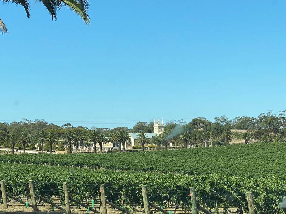 Australien - Adelaide - Heute Do. 6. Febr. verlassen wir das Barossa Valley und fahren nach Adelaide wo wir bis Sonntag Mittag verbleiben und uns auf die Eisenbahnfahrt ins Red Centre vorbereiten.