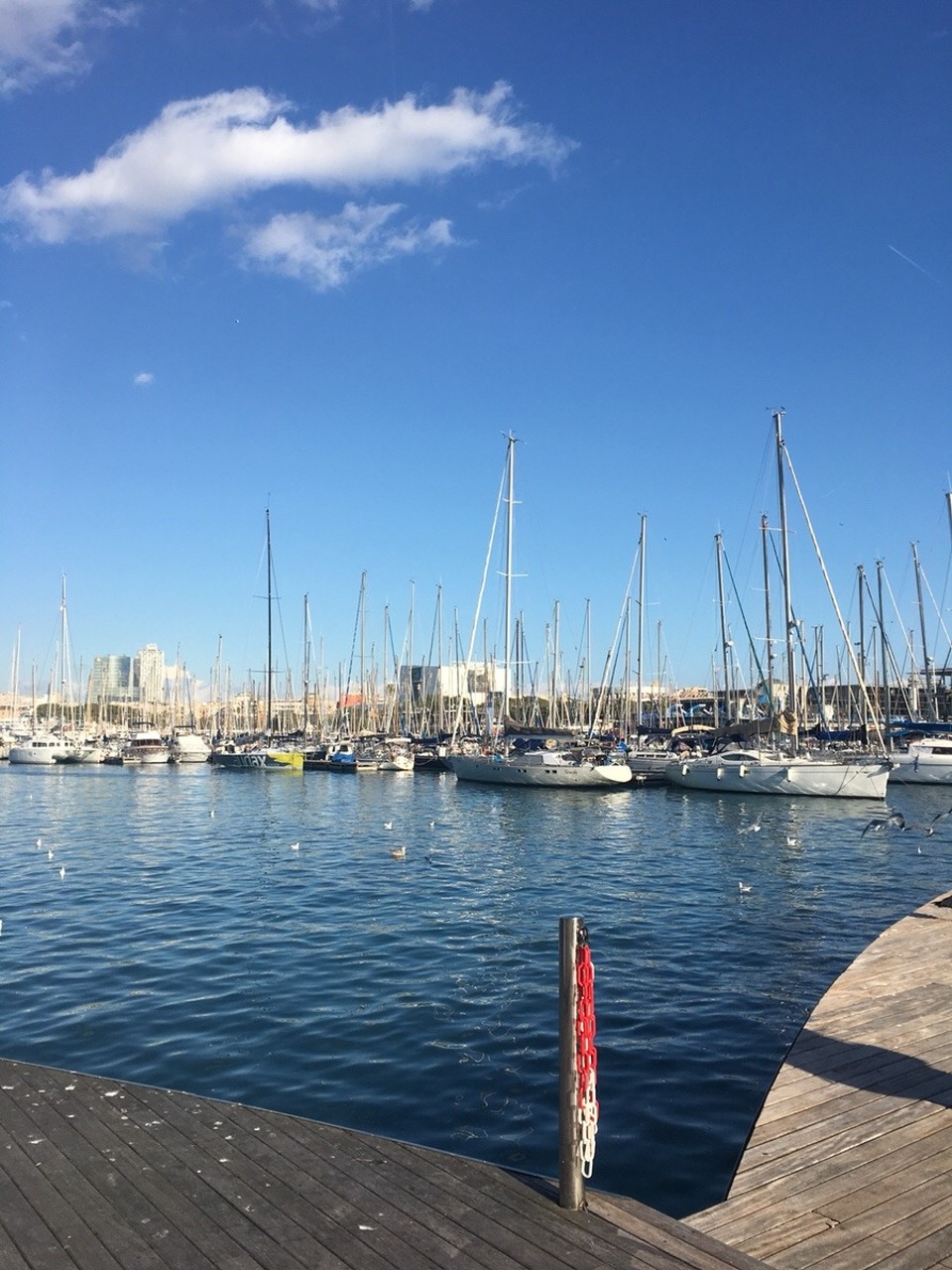 Spain - Barcelona - 