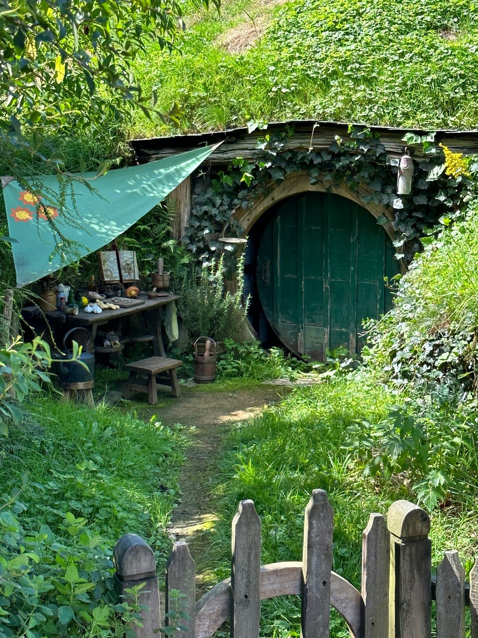 Neuseeland - Rotorua - Ich muss gestehen, ich kenne die Filme von der Herr der Ringe Trilogie nur in kleinen Teilen und auch nur aus dem Fernsehen.Ich kann mich also keineswegs als Fan bezeichnen, trotzdem habe ich die Tour zum Drehort  gemacht und fand es besser als ich erwartet hatte.