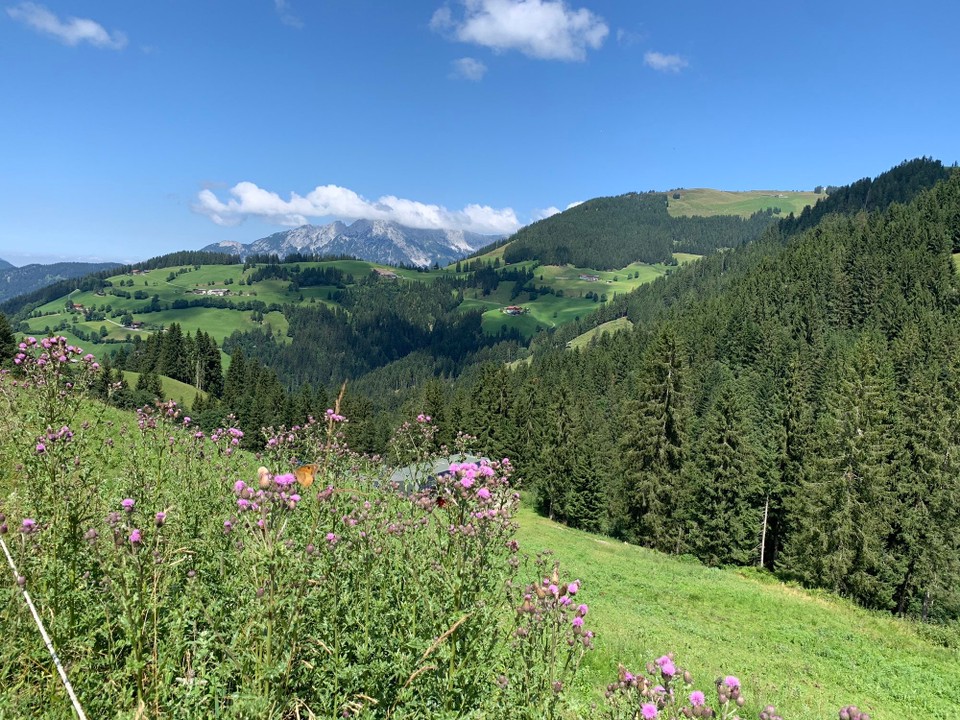 Österreich - Söll - 