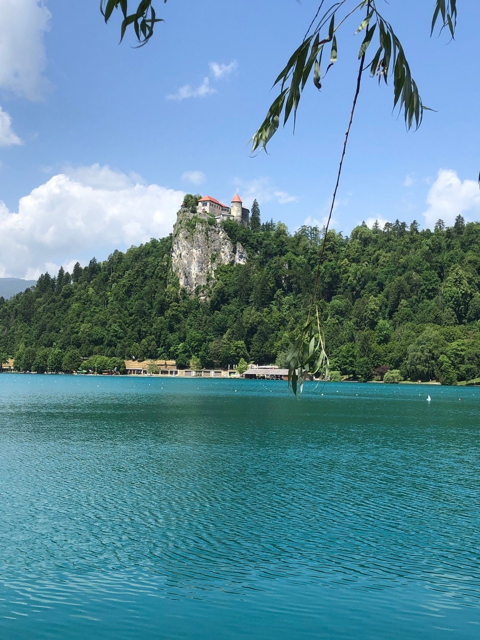 Slowenien - Bled - 