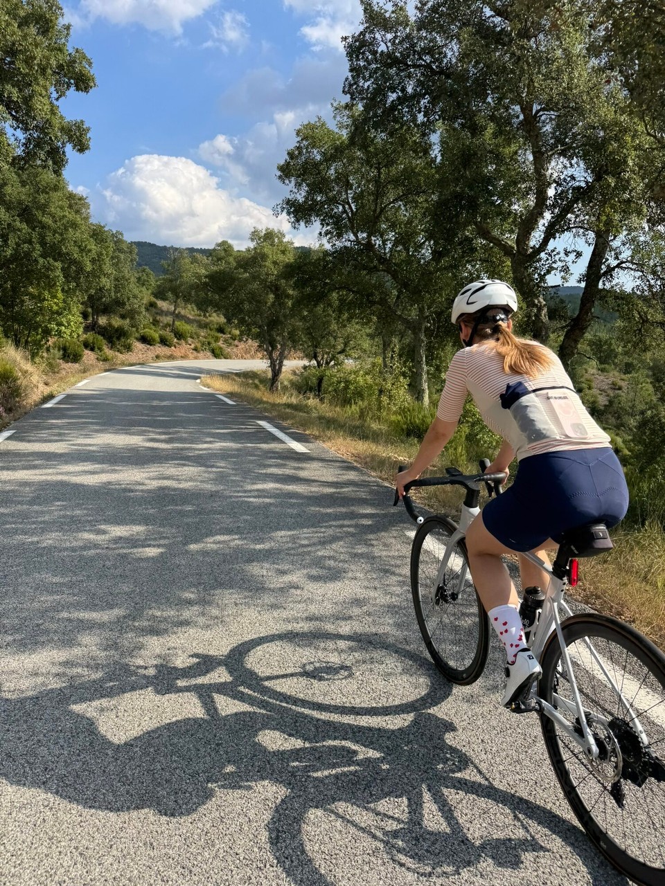 Frankreich - La Garde-Freinet - 