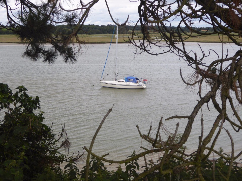 United Kingdom - Woodbridge - Backtracking we spied Avalon through the trees.