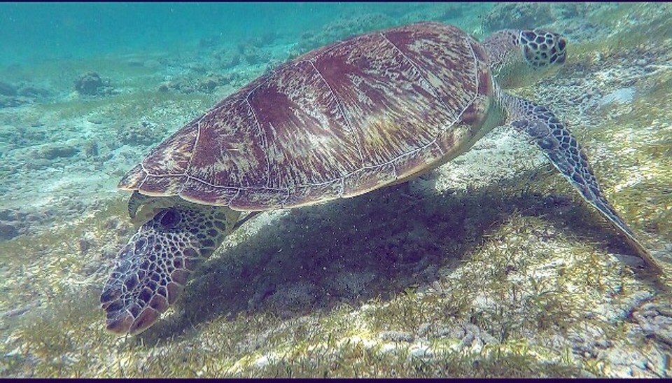 Indonesien - Lombok Utara - 