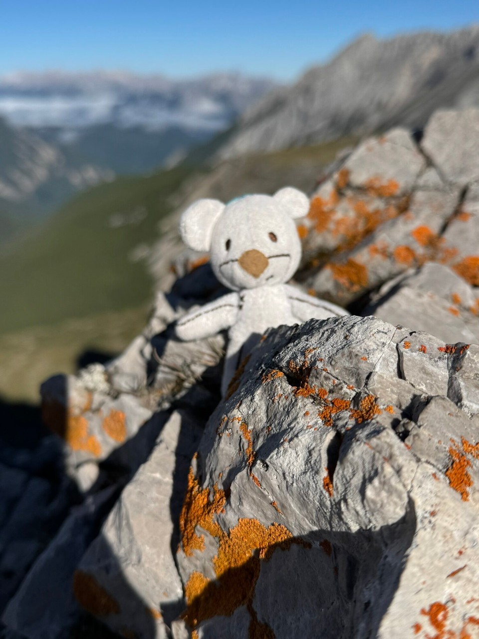 Österreich - Innsbruck - Zumindest Carlos hat sein Gipfelfoto. :0)