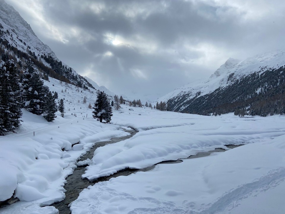 Schweiz - Pontresina - 