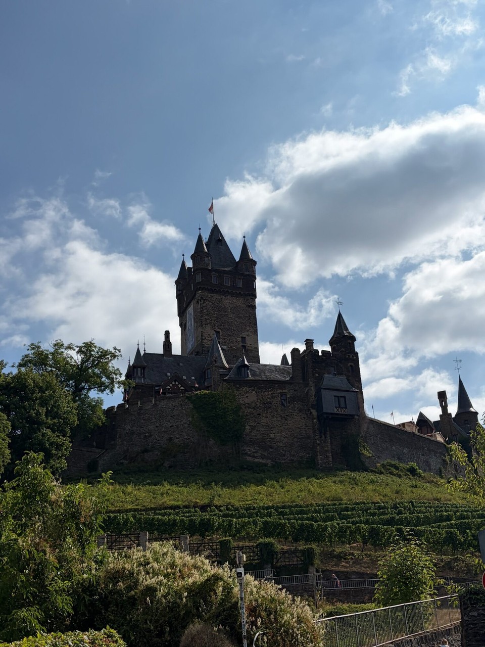 Deutschland - Cochem - Anschließend sind wir auf den Berg zur Reichsburg gewandert.