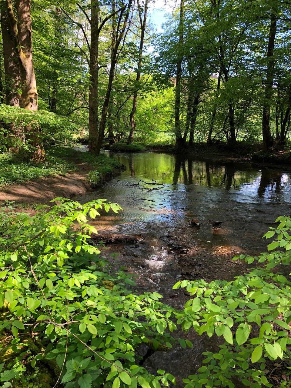 Deutschland - Odenthal - 