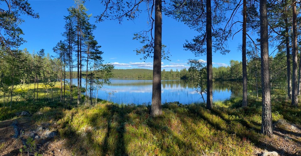Norwegen - Gransherad - Und wieder finden wir einen tollen Platz zum spazieren, Baden und schlafen. Wieder ganz allein zwischen Kiefern, kleinen Seen und Heidelbeeren. 
Wir haben heute ca 250 km zurückgelegt. Waren auf fast 1000 Meter und haben tolle  erste Eindrücke gesammelt. 